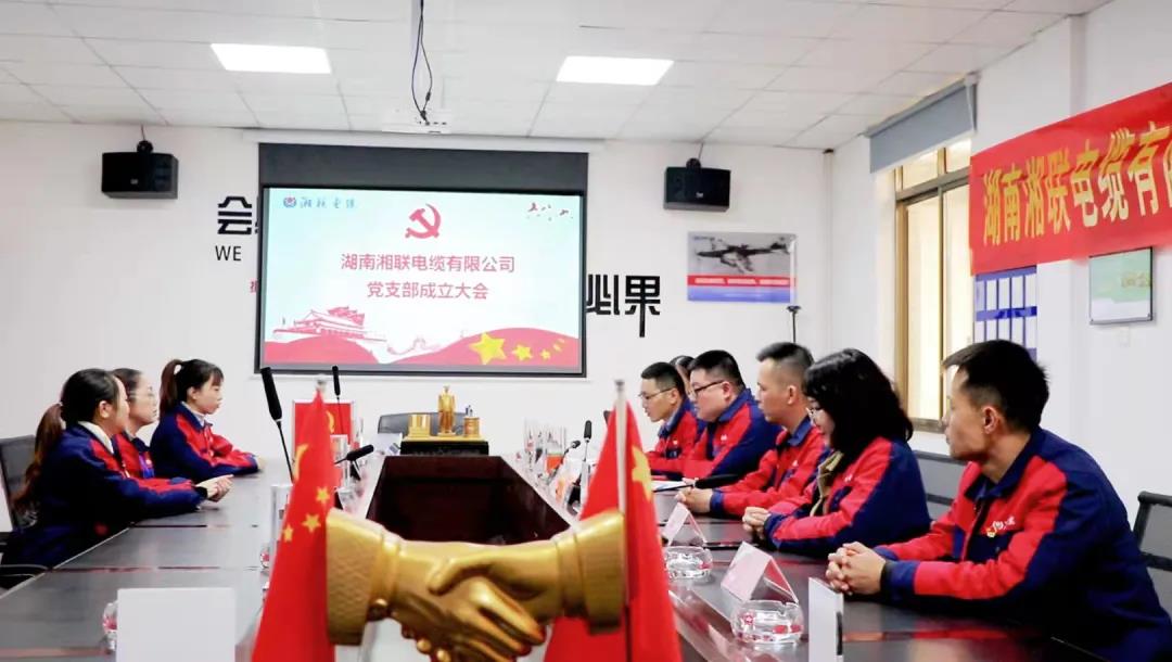 新征程 | 热烈祝贺管家婆马报彩图党支部正式成立！