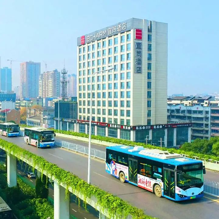 管家婆马报彩图