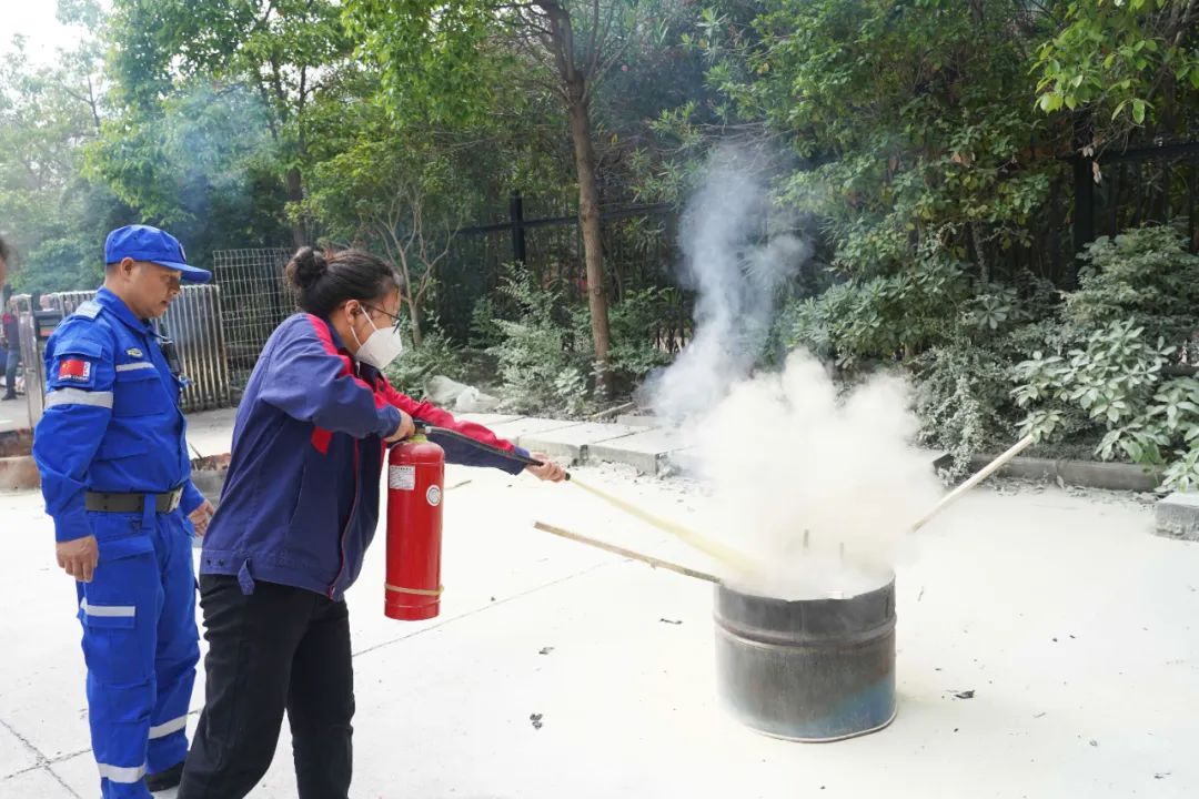 管家婆马报彩图