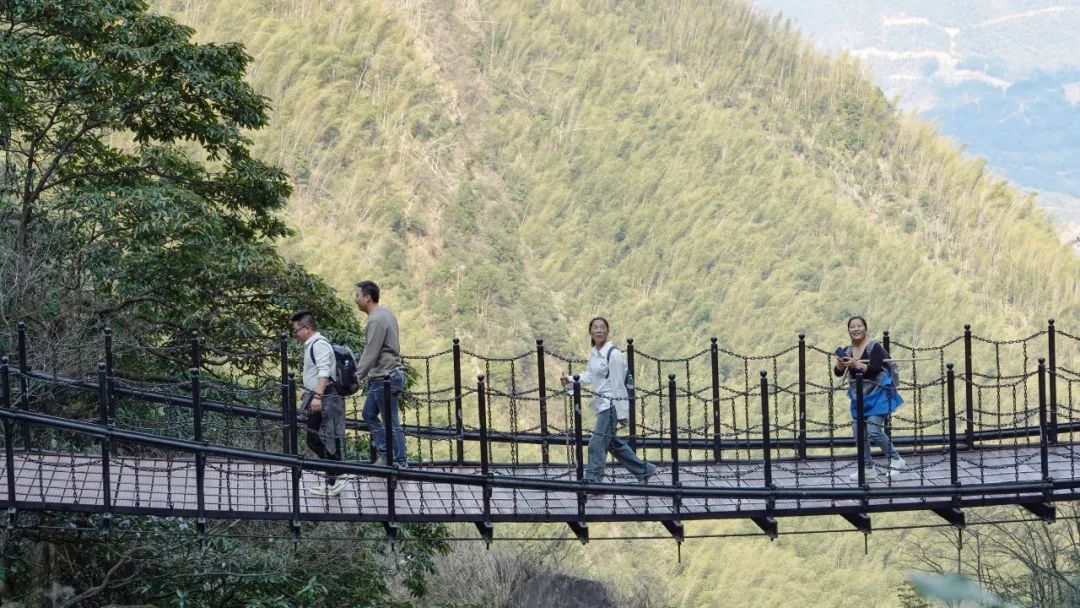 管家婆马报彩图